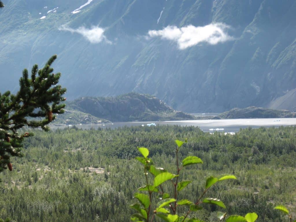 Grewingk Glacier Park Homer AK