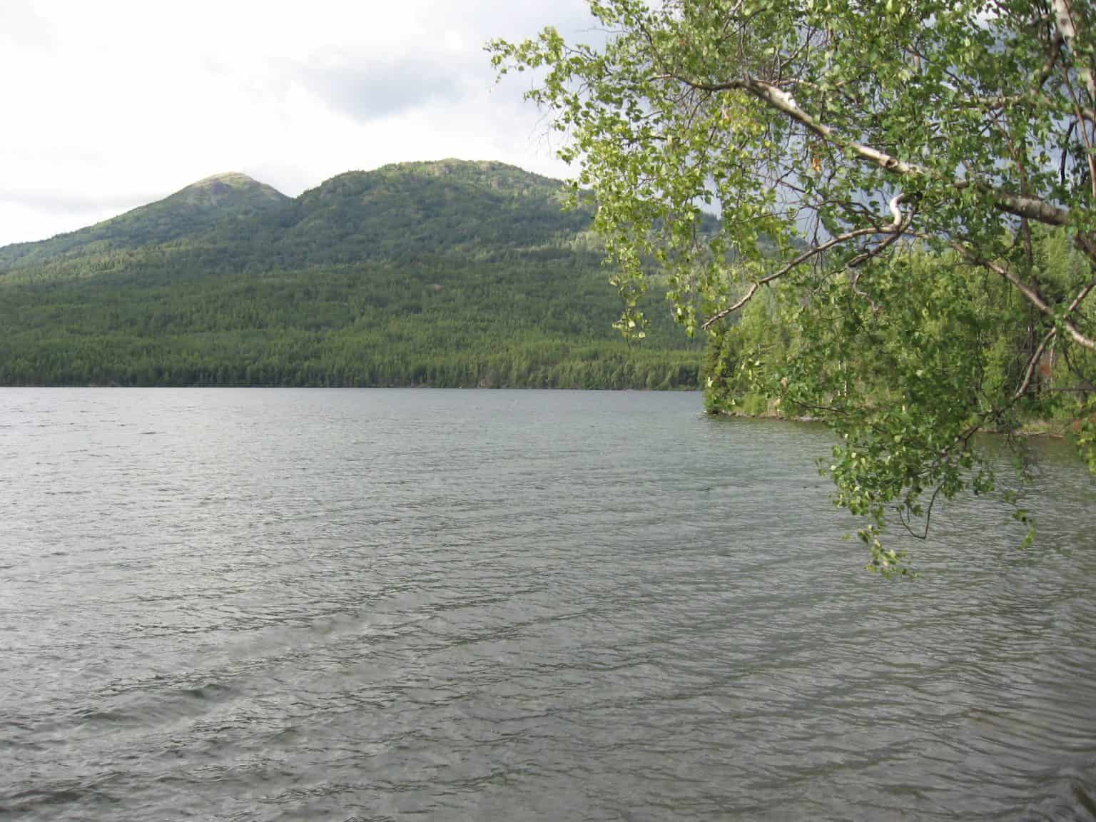 How to Travel Alaska without a Car My Alaska Adventures