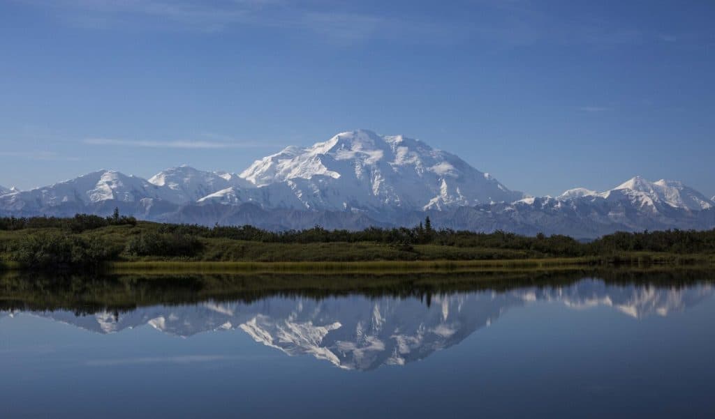 Denali National Park Mountain