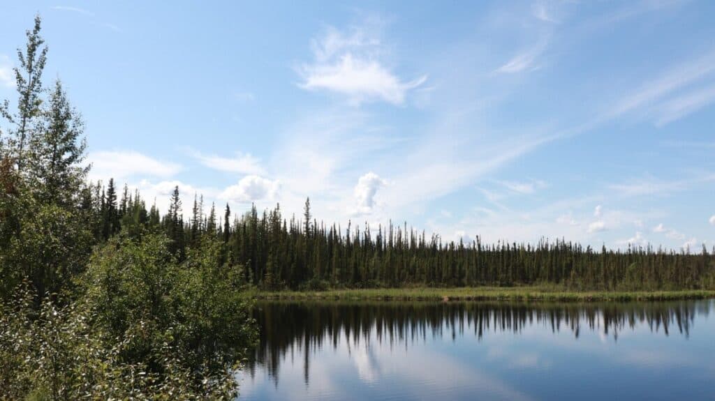 lake on UAF alaska campus