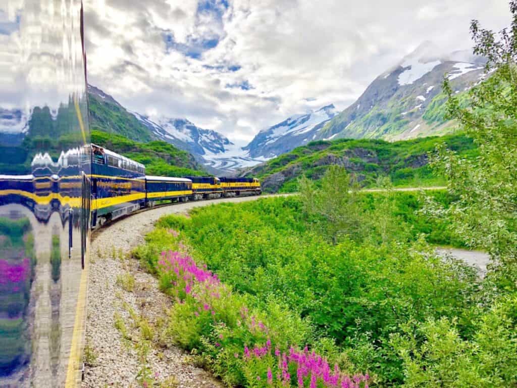 glacier and alaskan wilderness off train