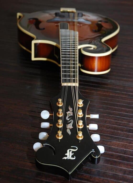 bluegrass mandolin